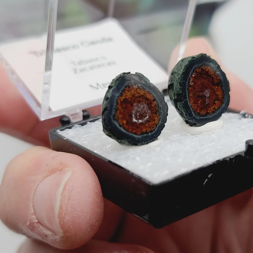 Black & Red Banded Druzy Tabasco Geode Thumbnail Mineral Specimen D